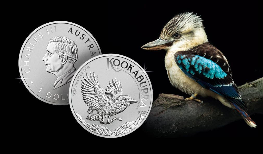 Kookaburra im Jahr 2024: Ein kleiner Vogel kommt ganz groß raus
