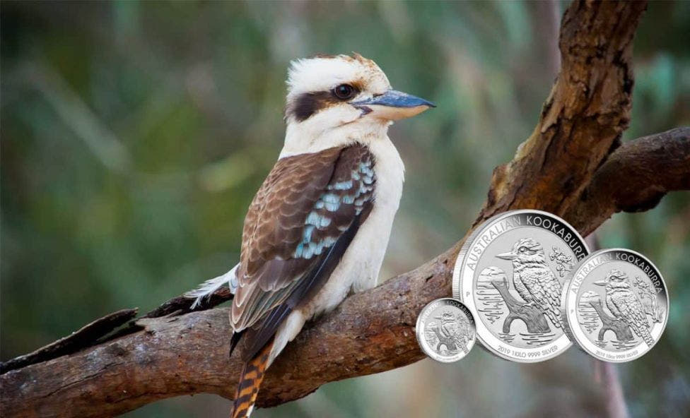 Perth-Mint-Prägeprogramm für 2019: Lunar und Kookaburra begeistern Sammler und Anleger