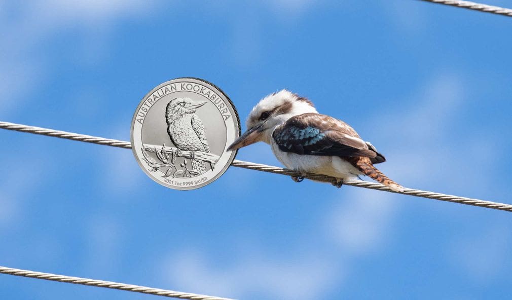 Kookaburra-Jahrgang 2021: Ein Klassiker aus Australien im neuen Gewand