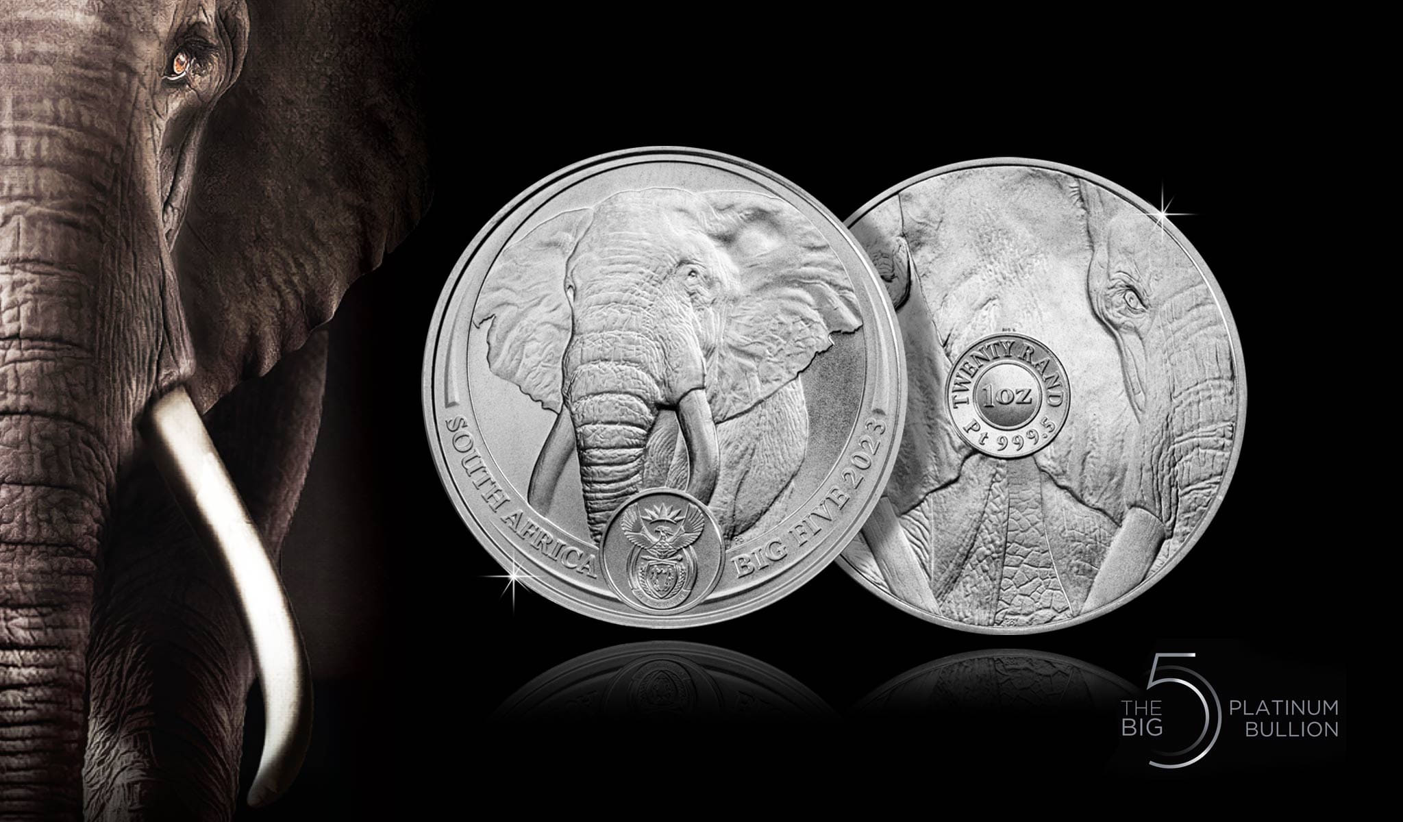 Big Five aus Südafrika: Platin zum Bestpreis mit Weltklasse-Motiv