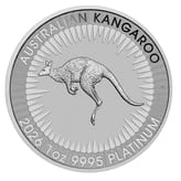 Platinmünze 1 Unze Känguru aktueller Jahrgang