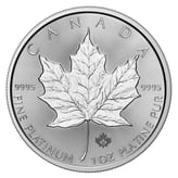 Platinmünze 1 Unze Maple Leaf aktueller Jahrgang