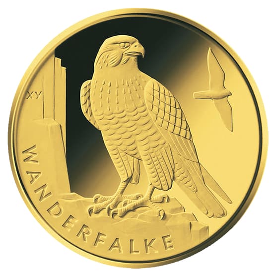 Goldmünze 20 Euro Heimische Vögel Wanderfalke 2019_1